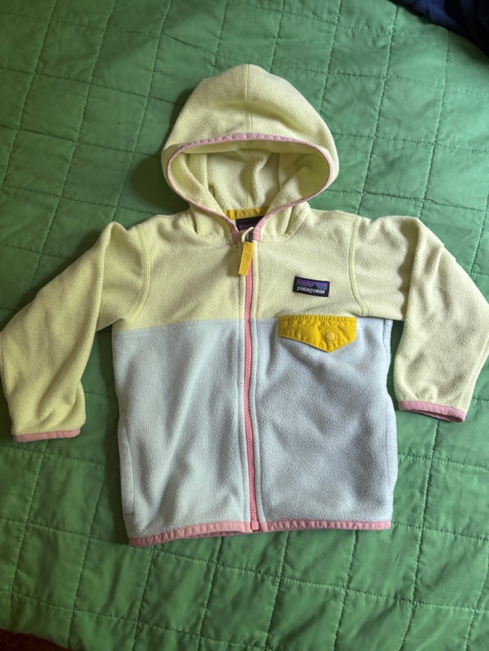 Patagonia Kids Micro D Fleece